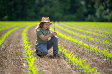 Çocuk çiftliğe yardım ediyor. Genç çiftçi mısır ekiyor. Çocuk tarlada çalışıyor. Mısır tarlasında bir çocuk. Küçük çiftçilik. Çocuk çiftçi mısır yetiştiriyor. Darı filizli çocuk. Küçük çiftçi
