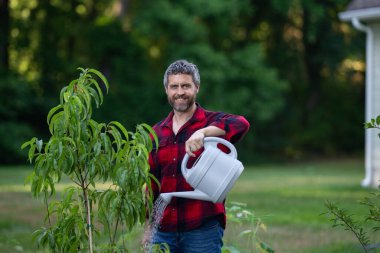 Bahçede bitki yetiştiren adam. Çiftçi sulama ağacı evin arka bahçesinde. Sulama tenekesi kullanan bir adam. Kürekle bahçıvanlık. Ev bahçesi yetiştiriciliği. Bahçe yeşillikle dolu.