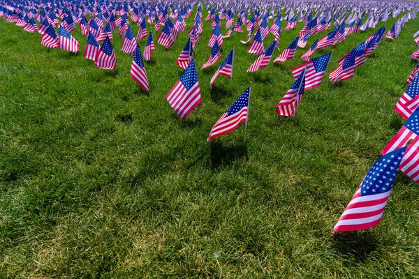 Bir anma töreninde Birleşik Devletler bayrağı. 4 Temmuz kutlamaları. ABD bayrağı geçmişi. Amerikan bayrağı dalgalanıyor. Çimlerin üzerinde Amerikan bayrakları. Amerikan bayrağı. Anma Günü. Amerikan bayrakları. Parkta Birleşik Devletler bayrakları