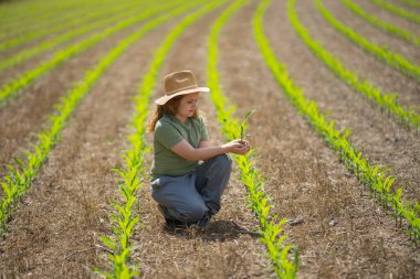 Eko çiftliği. Çocuk çevre dostu mısır tarlasında. Yeşil ekosistemde tarım. Eko tarım konsepti. Çocuklu organik tarım arazisi. Çevre ekolojik kavramı. Çocuk çiftçiliği. Çocuklar bakım ortamı
