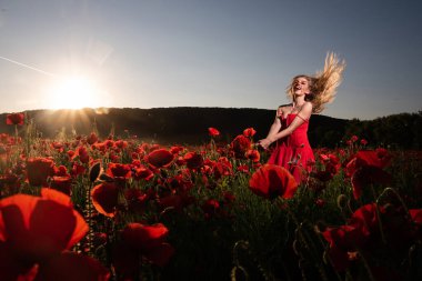 Çiçekli bir çayırda bahar güzeli kadın. Haşhaş tarlasında güzel bir kadın. Yaz çiçekleri tarlasında romantik bir kadın. Genç ve narin bir kadın bahar otlağının tadını çıkarıyor.