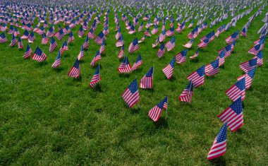 USS bayrak geçmişi. Amerikan bayrağı dalgalanıyor. 4 Temmuz 'da kutlama. Bağımsızlık Günü. Çimlerin üzerinde Amerikan bayrakları. Amerikan bayrağı. Anma Günü. Amerikan bayrakları. Parkta Birleşik Devletler bayrakları