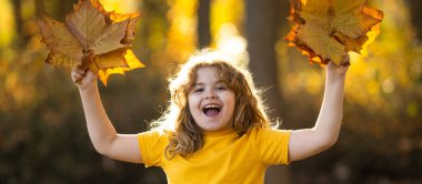 Akçaağaç yapraklı çocuklar arka planda. Sonbahara yakın bir çocuk güneş ışığında yapraklarını döküyor. Sonbahar sonbahar parkında küçük bir çocuk. Çocuklar ve yapraklar, dökülen yapraklar. Sonbahar yaprağı hamile. Düşen çocuklar