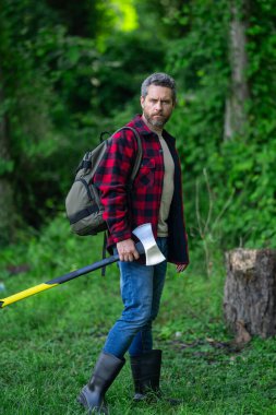 Olgun Oduncu 'nun ciddi suratı ormanda balta tutuyor. Baltalı bir oduncu kesmeden önce ağacı inceler. Ciddi bir oduncu. Millennial orta yaşlı adam elinde büyük bir balta tutuyor.