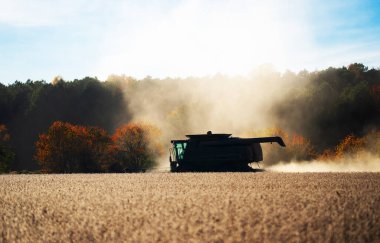 Sonbahar hasadı. Hasat buğdaylı tarlalar. Buğday tarlasında hasatçıyı birleştir. Kırsal kesimlerde hasat. Hasat makinelerini birleştirin. Çiftçilik biçerdöver işbaşında. Kırsal alanda hasat var.