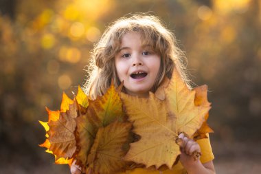 Akçaağaç yapraklı çocuklar arka planda. Sonbahara yakın bir çocuk güneş ışığında yapraklarını döküyor. Sonbahar sonbahar parkında küçük bir çocuk. Çocuklar ve yapraklar, dökülen yapraklar. Sonbahar yaprağı hamile. Düşen çocuklar