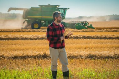 Tarlada buğday toplayan bir çiftçi. Altın buğday tarlasında duran bir adam. Buğday çiftliğinde çalışan bir çiftçi. Buğday tarlası olan bir kırsal alan. Buğday ekinlerini denetleyen bir adam.