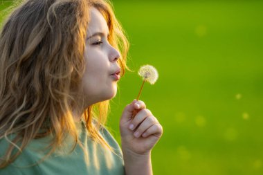 Çocuk bir karahindiba üflüyor. Çocuk bahar tarlasında karahindiba ile oynuyor. Çocuk rüya görür. Çocuk yazın tadını çıkarıyor ve karahindiba tohumları saçıyor. Çocukların özgürlüğü. Çocuk karahindiba üflüyor.