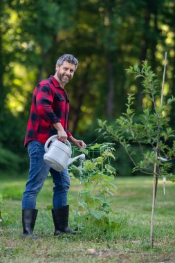 Bahçede bitki yetiştiren adam. Çiftçi sulama ağacı evin arka bahçesinde. Sulama tenekesi kullanan bir adam. Kürekle bahçıvanlık. Ev bahçesi yetiştiriciliği. Bahçe yeşillikle dolu.