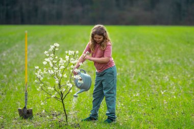 Çocuk bahçıvan arka bahçede ağaç dikiyor. Bitkilerin bahar etkinliği. Çocuk kürek ve su bidonuyla çalışıyor. Çocuk meyve ağacı dikmiş. Bahçıvan çocuklar. Çocuk yetiştirme bitkisi ve ağaç bakımı