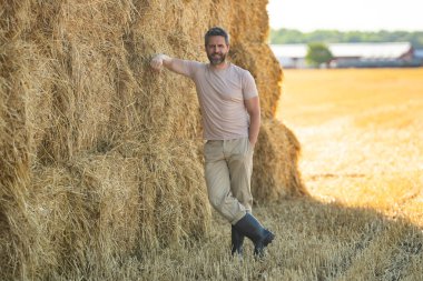Amerikalı çiftçi saman tutuyor. Buğday tarlasında çiftçi Hasat Saman 'dan sonra. Hasattan sonra ekinler. Çiftlik yaşam tarzı. Ahır, Hay Rolled Bales. Çiftlikte Saman. Çiftlik hayvanları çiftliği