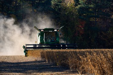 Hasat alanı. Saman ve tahıl hasadı. Buğday tarlasında hasatçıyı birleştir. Kırsal kesimde hasat. Hasat makinelerini birleştirin. Hasat makinesini iş yerinde birleştirin. Kırsal alan, hasat makinesiyle birleşiyor.