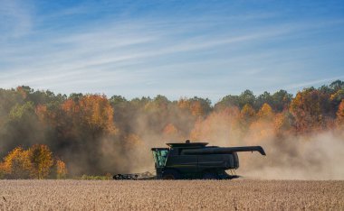 Buğday tarlasında hasatçıyı birleştir. Kırsal kesimde hasat. Hasat makinelerini birleştirin. Tarımsal Kombine hasat makinesi iş başında. Kırsal arazide hasat makinası var. Kırsal tarım