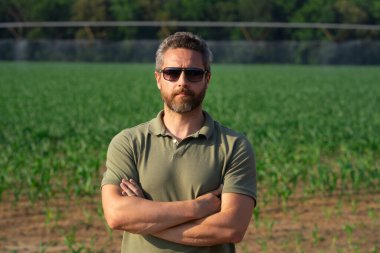 Bir çiftçi mısır tarlasını inceliyor. Çiftçi mısır yetiştirmek için çiftlikte çalışıyor. Kırsal kesimde bir erkek çiftçinin portresi. Tarım işçisi, çiftçi