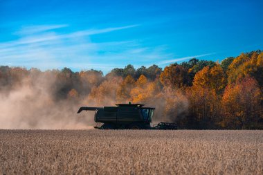 Buğday tarlasında hasatçıyı birleştir. Kırsal kesimde hasat. Çiftçilik makineleri. Tarım makinesi çalışıyor. Kırsal arazide hasat makinası var. Tarım ekipmanları. Toprak sürme ve yetiştirme