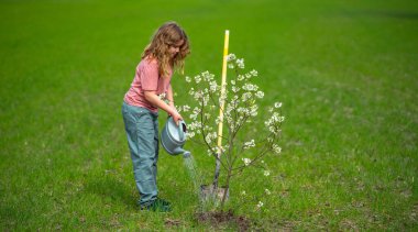 Bahçe bahçesinde çocuk bahçıvanı ağaç dikiyor. Bitkilerin bahar etkinliği. Çocuk kürek ve su bidonuyla çalışıyor. Çocuk meyve ağacı dikmiş. Bahçıvan çocuklar. Çocuk yetiştirme bitkisi ve ağaç bakımı