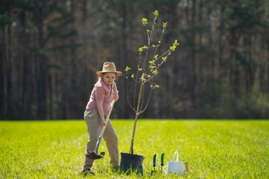 Bahar bahçesi. Çocuk kürekle toprak kazıyor. Bahçesinde ağaç bitkileri olan bir çocuk. Bahçede çalışan çocuklar. Büyüyen elma ağacı. Bahçe aletleri. Çocuk bahçıvanlığı. Bahçe işliyorum. Çocuk dikme ağacı