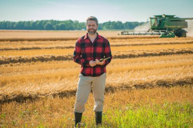 Hasat zamanı. Tarlada çalışan çiftçi. Kırsalda çiftçilik. Hasat tarlaları olan çiftlik arazisi. Olgun arpa toplayan çiftçi. Çiftçi hasatı kontrol ediyor. Çiftçi hasatı inceliyor.