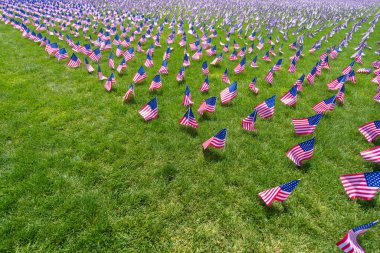Amerikan bayrağı. Amerikan bayrağı dalgalanıyor. 4 Temmuz 'da vatansever bir kutlama. Bağımsızlık Günü. Çimlerin üzerinde Amerikan bayrakları. Amerikan bayrağı. Anma Günü. Amerikan bayrakları. Amerika Birleşik Devletleri bayrağı yeşil çimlerde
