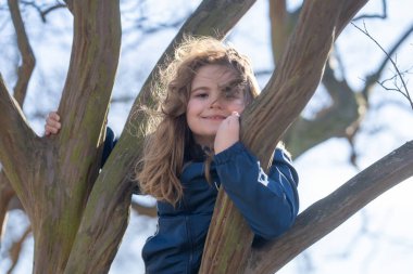 Ağaçta asılı duran bir çocuk. Aktif çocuk. Parktaki ağaçlara tırmanan bir çocuk. Küçük çocuk ağaç dalına uzanıyor. Ağaç gövdesine sarılan mutlu çocuk. Çocuk güneşli bir bahar gününün tadını çıkarıyor. Çocuk bir ağaç dalında oynuyor.