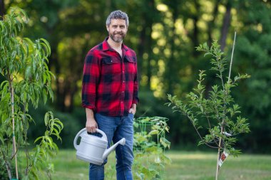 Bahçede bitki yetiştiren bahçıvan. Evin arka bahçesinde tarım ağacı var. Ağaç diken bir adam. Bahçıvanlık ve su kovası. Ev bahçesi yetiştiriciliği. Olgun çiftçi dikme ve sulama ağacı