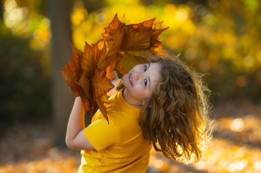 Sonbahar Çocuk Portresi Sonbahar Sarı Yaprakları. Güzel Sonbahar Parkı 'ndaki küçük çocuk. Çocuklar sonbahar parkında oynarlar. Çocuklar sarı yaprakları tutar. Meşe ve akçaağaç yaprağı olan çocuk. Sonbahar yeşilliği