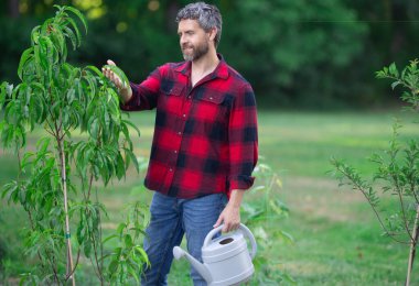 Bahçede ağaç yetiştiren olgun bahçıvan. Bahçede bahçıvan sulama ağacı. Meyve ağacı ve meyve bahçesinin yanında kürekli bahçe. Meyve ağaçlı bahçe. Bahçıvan meyve bahçesinde ağaç dikiyor.