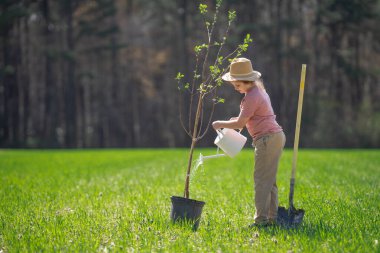 Kürekle ağaç yetiştiren çocuk. Arka bahçeye çocuk dikme ağacı. Bahar tarlasında çocuk dikimi. Sulama kutusu ve küreği olan küçük bahçıvan.