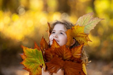 Sonbahar çocuk havası. Sonbahar portakal yapraklı küçük çocuk, açık hava portresi. Sonbahar parkında güz yapraklı komik çocuk suratı. Çocuk düşen altın yapraklarla oynuyor. Çocukların sonbahar portresi