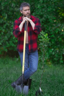 Bahçede bitki yetiştiren adam. Evin arka bahçesinde tarım ağacı var. Ağaç diken bir adam. Kürekle bahçıvanlık. Ev bahçesi yetiştiriciliği. Bahçe yeşilliklerle dolu. Olgun çiftçi ağaç dikiyor.