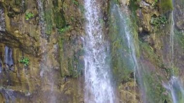 Doğa meditasyonu. Şelale doğal bir dönüm noktası. Rüya gibi bir şelale kaçışı. Yazın şelale cenneti. Şelalenin gücü ve zarafeti. Nihai şelale deneyimi