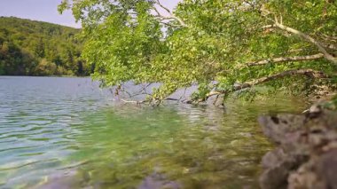 Dağlarda şelale sükuneti. Bir şelalenin yanında huzur bulmak. Mükemmel bir şelale kaçışı. Ruhlar için bir şelale inzivası. Kristal berrak göllerdeki şelale yansımaları