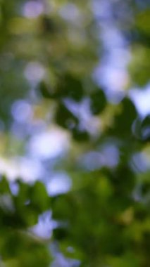 Şelale doğayla uyum içinde. Güzel bir şelale meditasyon noktası. Doğada bir şelale yolculuğu. Gizli bir şelale cevheri keşfediyor. Güçlü bir şelalenin enerjisi