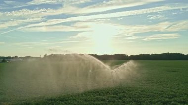 Tarım bitkilerini sulamada kullanılan sulama sistemi. Fıskiyeler yaz çiftliği tarlasını suluyor. Sulama sistemi, tarlada mısır fıskiyeleri, kuru mevsim. Sulama sistemi çalıştırılıyor