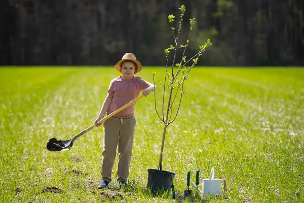 Kürekle ağaç yetiştiren çocuk. Arka bahçede ağaç yetiştiren çocuk. Bahar tarlasında ağaç yetiştiren çocuk. Sulama kutusu ve küreği olan küçük bahçıvan.