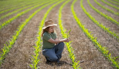 Çocuk toprağa mısır ekiyor. Elinde mısır filizi tutan çocuk. Kırsal alanda genç bir çiftçi. Çiftlikte çalışan çocuk. Kırsalda tasasız bir çocuk. Çocuk köy topraklarında mısır yetiştiriyor. Çevre ve çevre