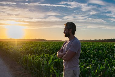 Bir çiftçi gün doğumunda mısır tarlasını teftiş eder. Erkek çiftçi dışarıda, tarlada çalışıyor. Tarım işçisi çiftçi mısır hasat ediyor. Bir adam mısır tarlasını inceliyor. Çiftçi çiftlikte mısır yetiştirir.