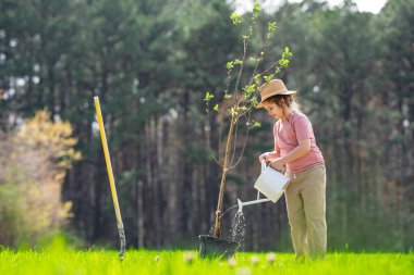 Bahar bahçesi. Çocuk kürekle toprak kazıyor. Bahçesinde ağaç bitkileri olan bir çocuk. Bahçede çalışan çocuklar. Büyüyen ağaç. Bahçe aletleri. Çocuk bahçıvanlığı. Bahçe işliyorum. Çocuk dikme ağacı