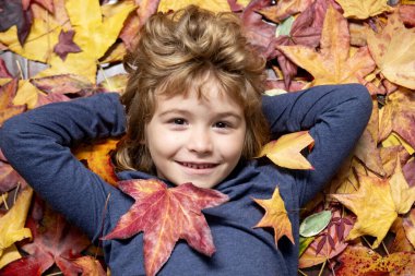 Sonbahar yaprak parkında sonbahar çocuk portresi. Sonbaharda şirin bir çocuk yüzü ve sevimli çocuk yüzü. Sarı akçaağaç ve meşe yapraklarıyla güz gününün tadını çıkaran bir çocuk. Çocuklar için sonbahar eğlencesi