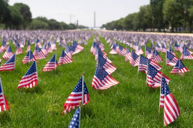 Amerikan bayrağı geçmişi. Amerikan bayrağı dalgalanıyor. 4 Temmuz 'da vatansever bir kutlama. Bağımsızlık Günü. Çimlerin üzerinde Amerikan bayrakları. Amerikan bayrağı. Anma Günü. Amerikan bayrakları. Parkta Birleşik Devletler bayrağı