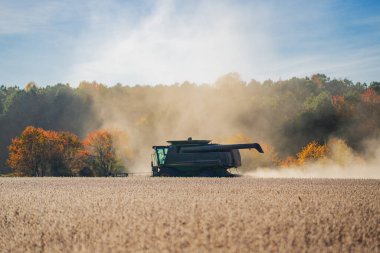 Buğday tarlasında hasatçıyı birleştir. Kırsal kesimde hasat. Hasat makinelerini birleştirin. Tarımsal Kombine hasat makinesi iş başında. Kırsal arazide hasat makinası var. Buğday tarlalarında çalış.