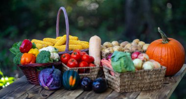 Meyve ve sebze hasat et. Sebzeler doğal olarak yetişiyor. Organik tarım. Tahta bir sepetin içinde taze meyve ve sebze hasadı. Taze mevsimlik sebzeler