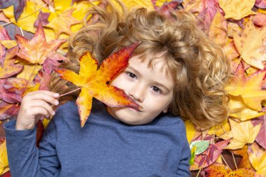 Sonbahar yapraklı sarışın çocuk portresi. Sonbahar parkında rüya gibi bir sonbahar gününde küçük bir çocuk. Akçaağaç yaprakları açık havada düşerken çocukluk eğlencesi. Bir çocukla sonbahar günü. Çocuklar sonbahar yapraklarıyla yüzleşir.