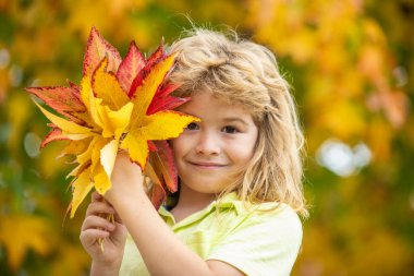 Sonbahar portresi, güz yaprağı. Sonbahar yapraklarının yanında sevimli bir çocuk yüzü var. Sonbahar günü sarı akçaağaç ve meşe yapraklı bir çocuğun vesikalığı. Çocuksu yüzlü sonbahar yeşilliği.