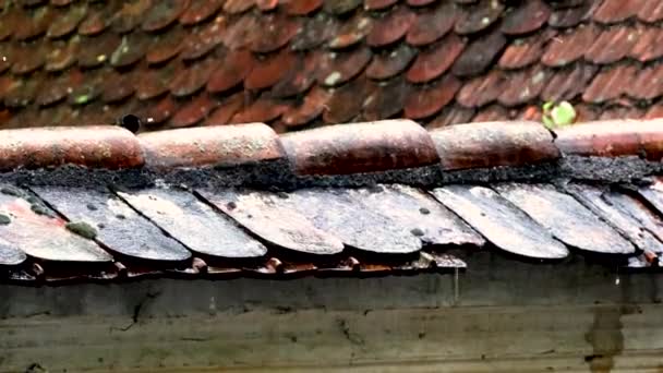 Heftiger Regen Trifft Altes Hausdach Bei Gewitter Mit Fehlenden Ziegeln — Stockvideo