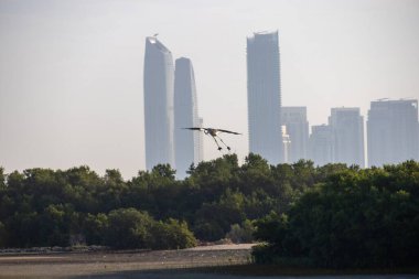 Arka planda yüksek modern gökdelenleri olan yemyeşil bir mangrov üzerinde uçan balıkçıl doğa ve kentsel mimarinin bir karışımını sergiliyor..