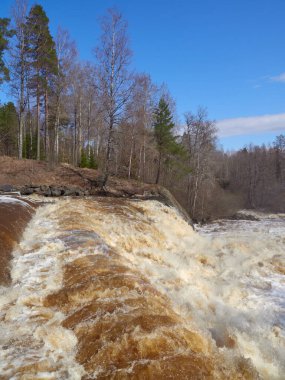 Area near Lahankoski waterfall in Finnish Pornainen: april, clear weather, river rapids, high a lot of water, nature of nordic countries.