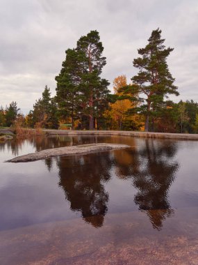 Avrupa doğa parkında sonbahar: Kuzey Avrupa 'nın doğası, Helsinki, Taivaskallio.