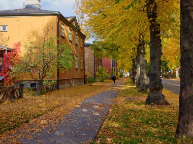 Avrupa kentinde sonbahar: Helsinki, Kapyla 'da ahşap tarihi evler.