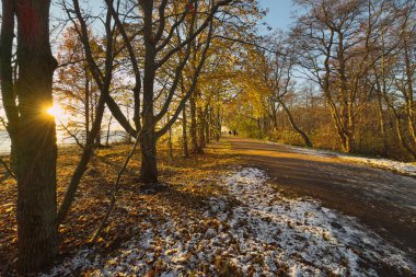 Parkta sonbahar: ilk kar, güneşli gün, meşe ağaçları.